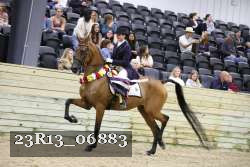 23R13_06883 thumbnail