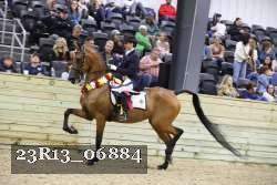 23R13_06884 thumbnail