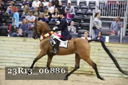 23R13_06886 thumbnail