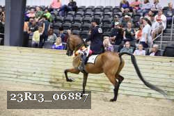 23R13_06887 thumbnail