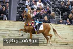 23R13_06890 thumbnail