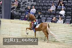 23R13_06892 thumbnail