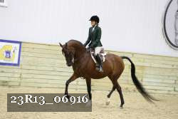 23R13_06916 thumbnail