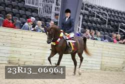 23R13_06964 thumbnail