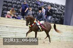 23R13_06966 thumbnail