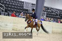23R13_06970 thumbnail