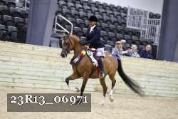 23R13_06971 thumbnail
