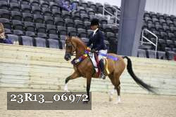 23R13_06972 thumbnail
