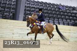 23R13_06973 thumbnail