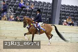 23R13_06974 thumbnail