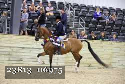 23R13_06975 thumbnail