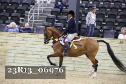 23R13_06976 thumbnail
