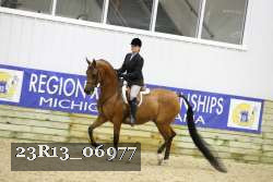 23R13_06977 thumbnail