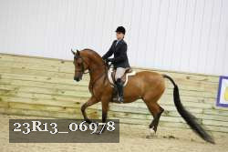 23R13_06978 thumbnail