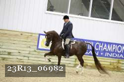 23R13_06982 thumbnail