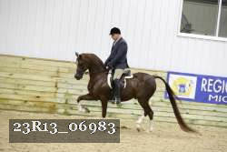 23R13_06983 thumbnail