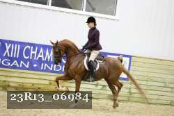 23R13_06984 thumbnail