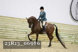 23R13_06986 thumbnail
