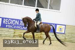 23R13_07012 thumbnail