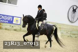 23R13_07013 thumbnail