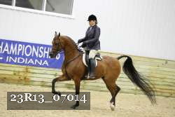 23R13_07014 thumbnail