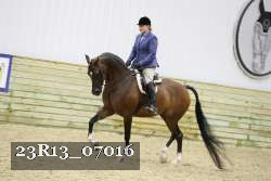 23R13_07016 thumbnail