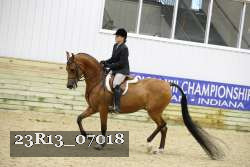 23R13_07018 thumbnail