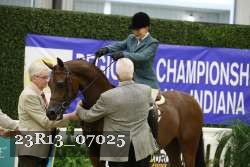 23R13_07025 thumbnail