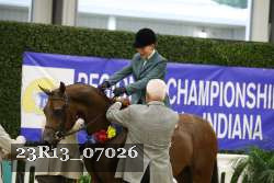 23R13_07026 thumbnail