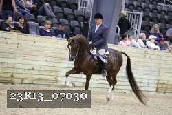 23R13_07030 thumbnail