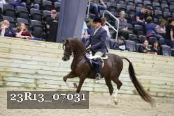 23R13_07031 thumbnail