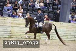 23R13_07032 thumbnail