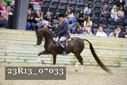 23R13_07033 thumbnail