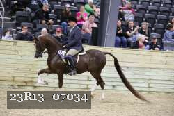 23R13_07034 thumbnail