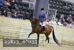 23R13_07035 thumbnail