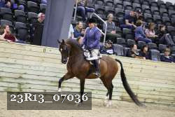 23R13_07036 thumbnail