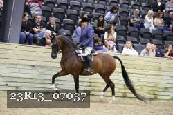 23R13_07037 thumbnail