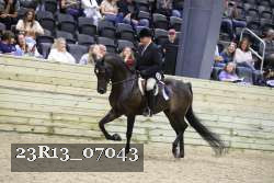 23R13_07043 thumbnail