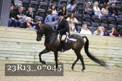 23R13_07045 thumbnail
