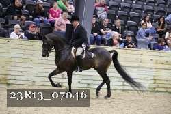 23R13_07046 thumbnail