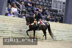 23R13_07047 thumbnail