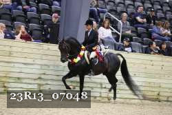 23R13_07048 thumbnail