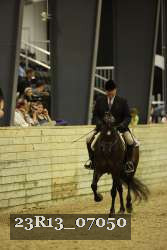 23R13_07050 thumbnail