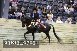 23R13_07051 thumbnail