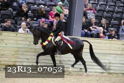 23R13_07052 thumbnail
