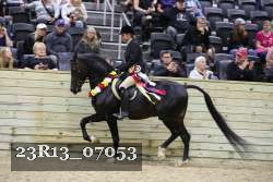 23R13_07053 thumbnail