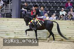 23R13_07055 thumbnail