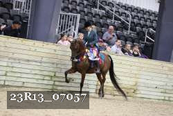 23R13_07057 thumbnail