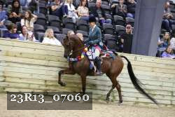 23R13_07060 thumbnail