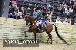 23R13_07061 thumbnail